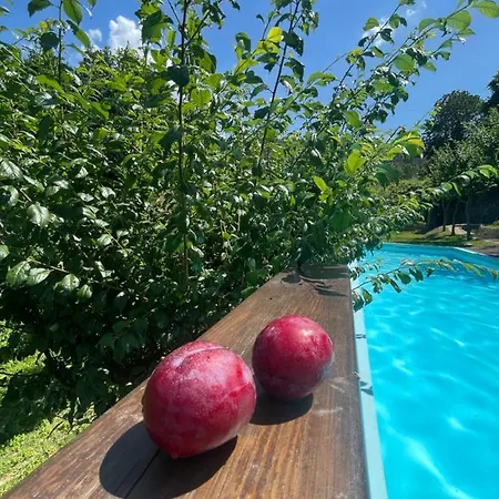 Quinta Das Ameixas - Country & Nature Arouca Exterior photo
