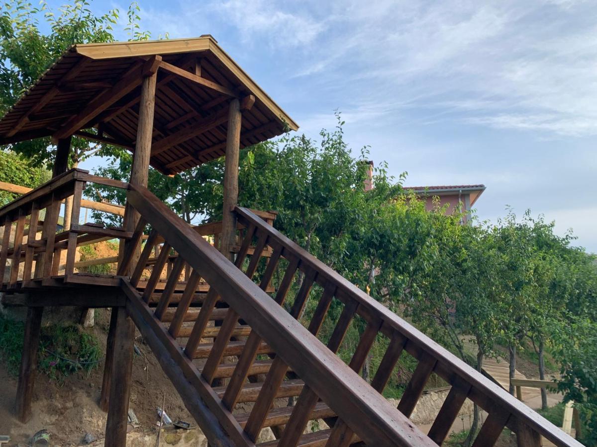 Holiday home Quinta Ameixas - Country & Nature *