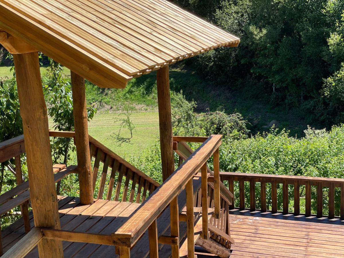 Quinta Ameixas - Country & Nature Holiday home *