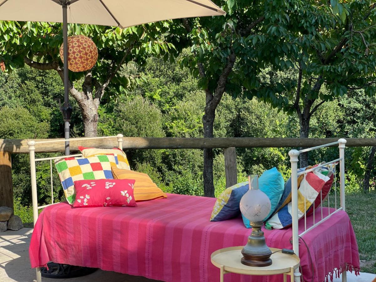 Quinta Ameixas - Country & Nature Arouca