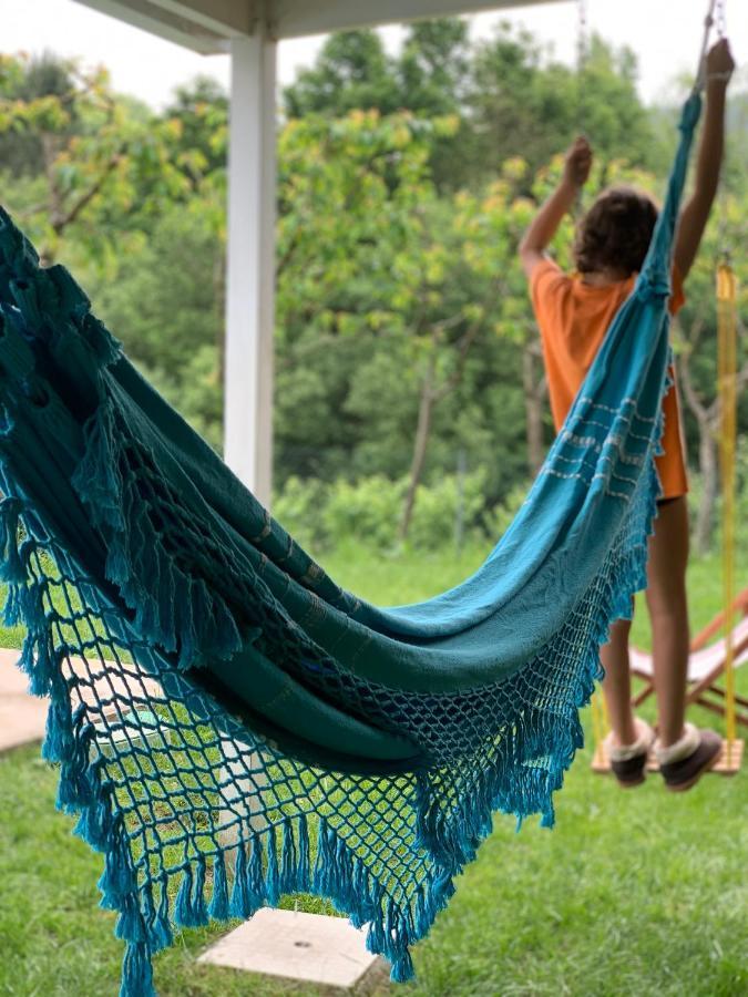 Quinta Ameixas - Country & Nature Holiday home *