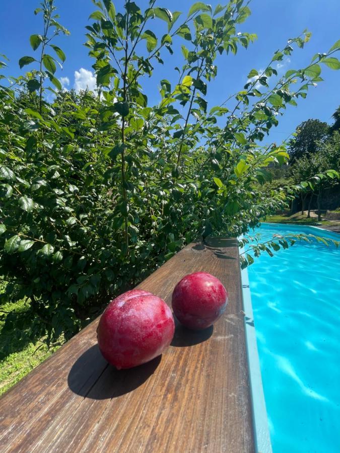 Quinta Ameixas - Country & Nature *