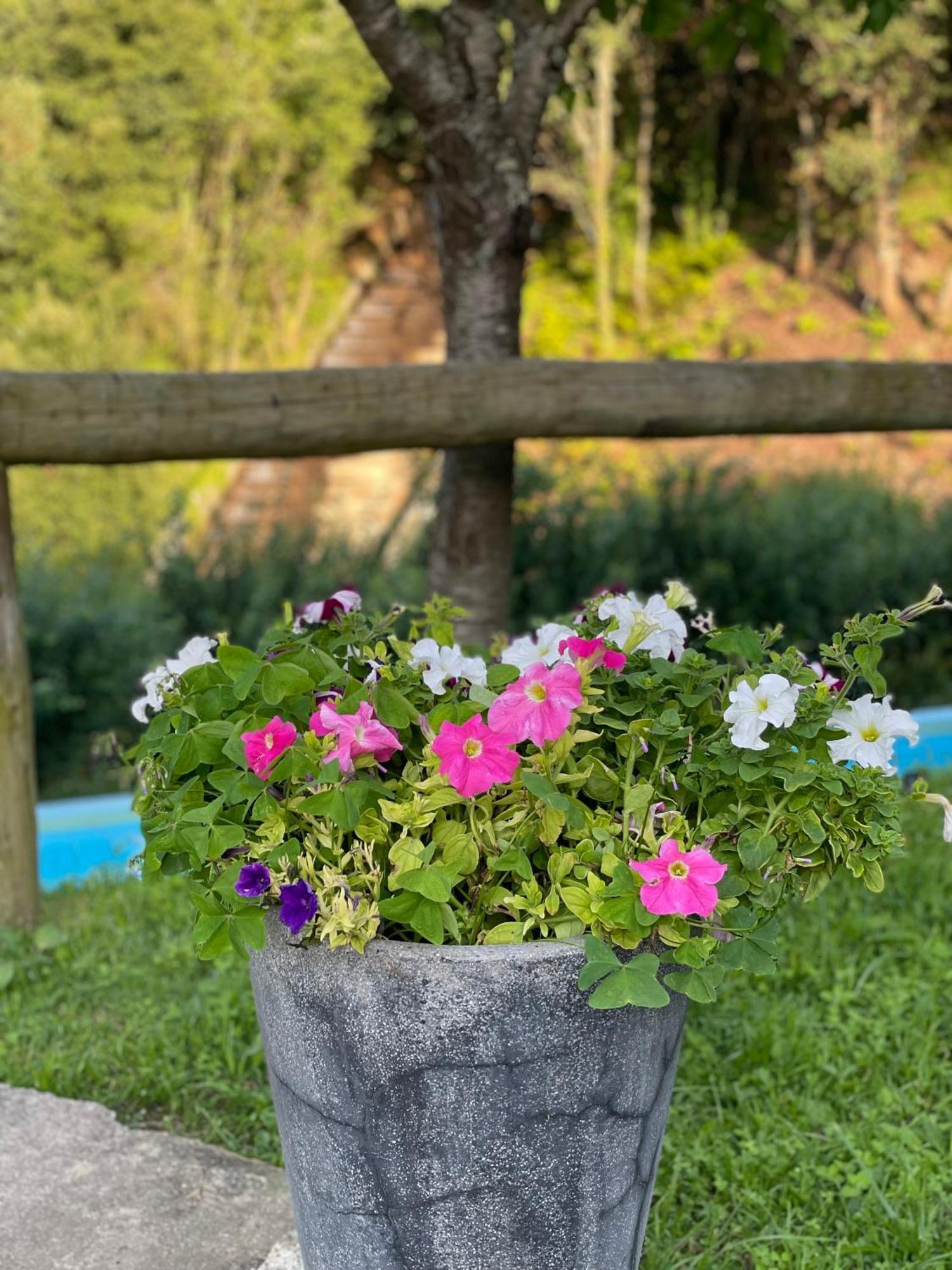 Quinta Ameixas - Country & Nature Arouca