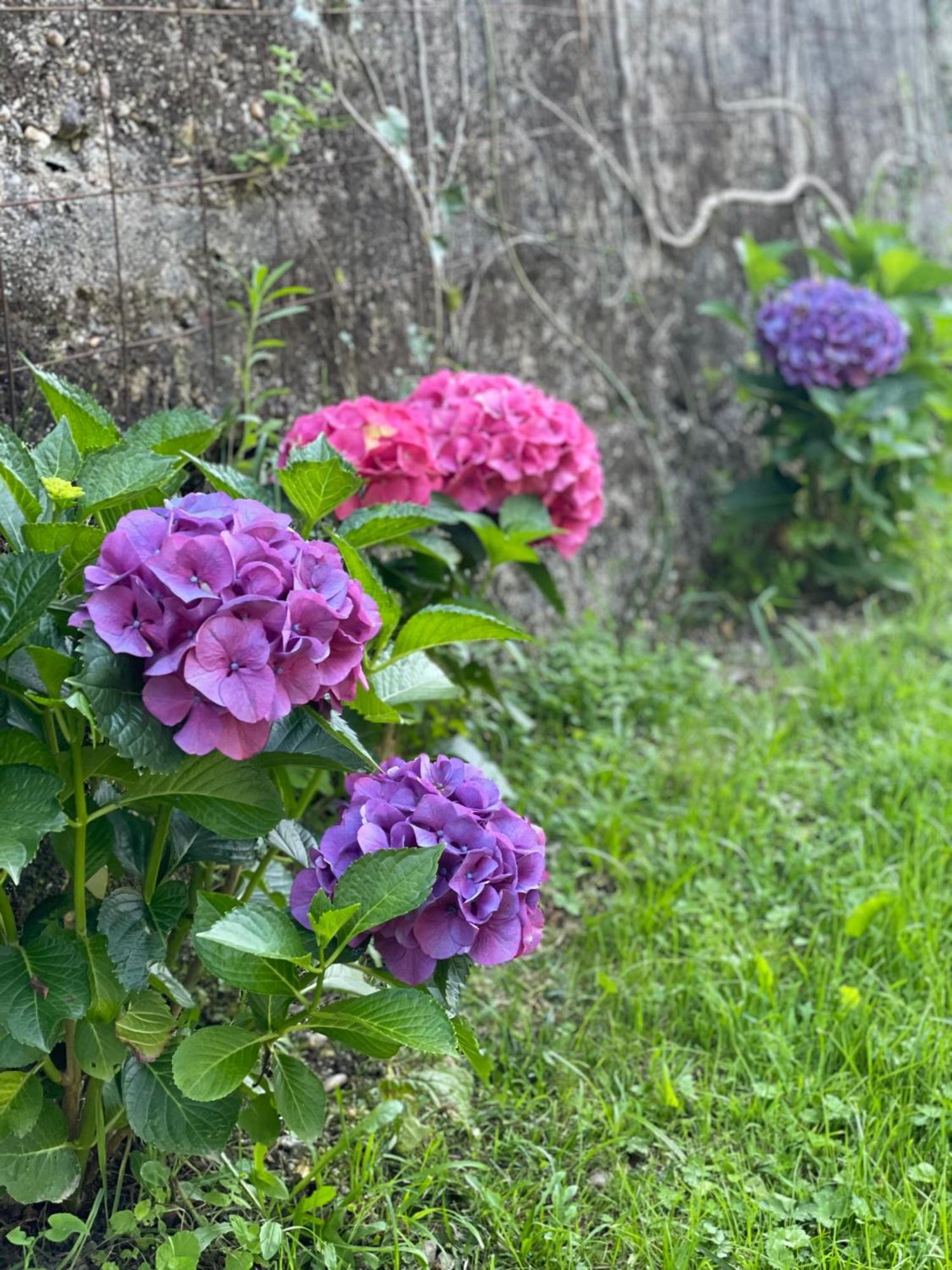 Holiday home Quinta Ameixas - Country & Nature Arouca