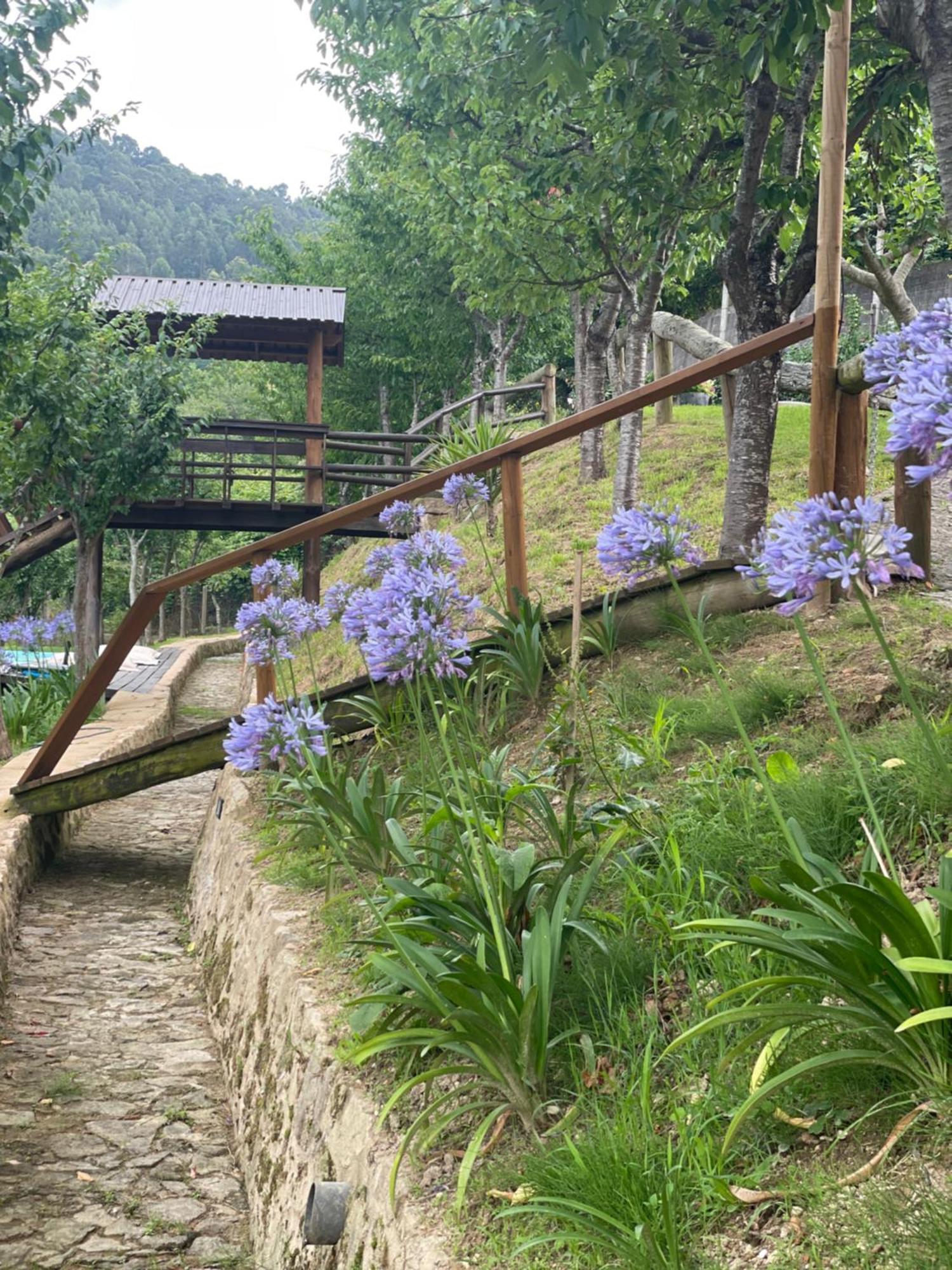Holiday home Quinta Ameixas - Country & Nature *